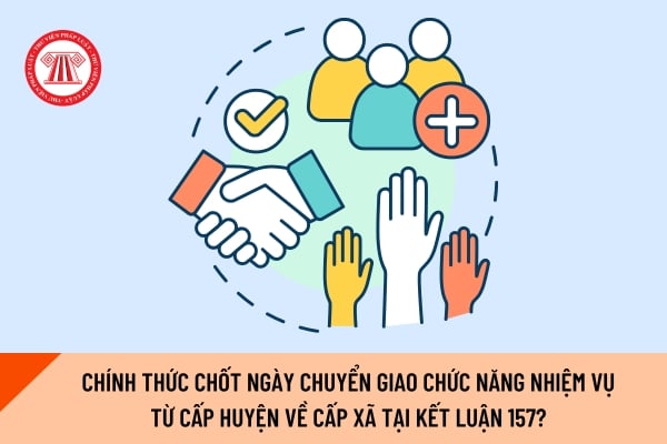 Pháp luật