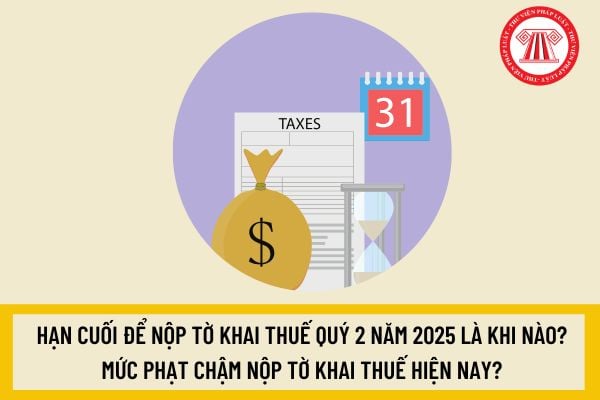 Pháp luật