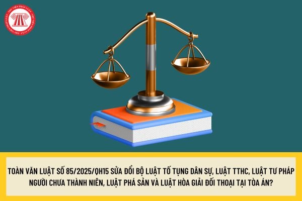 Pháp luật