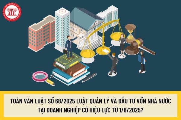 Pháp luật