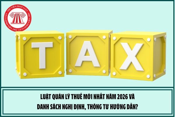 Pháp luật