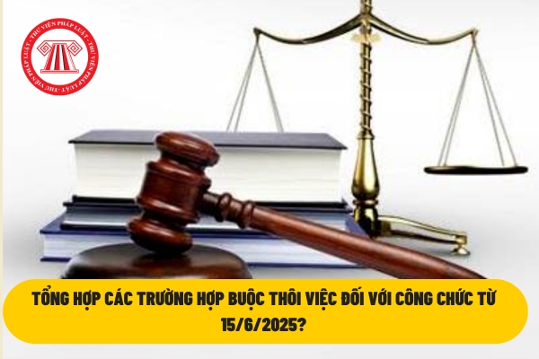 Tổng hợp các trường hợp buộc thôi việc đối với công chức từ 15/6/2025?