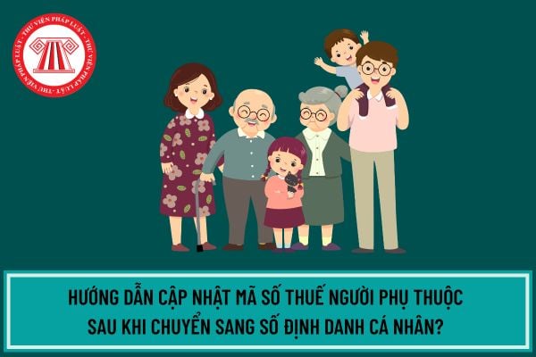 Pháp luật