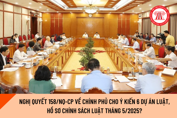 Pháp luật