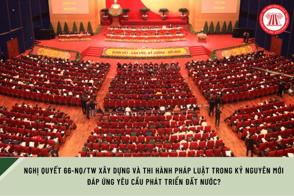 Pháp luật