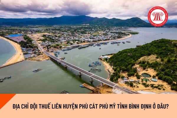 Pháp luật
