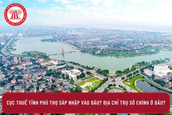 Pháp luật