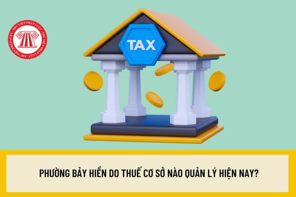 Pháp luật