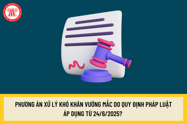 Pháp luật