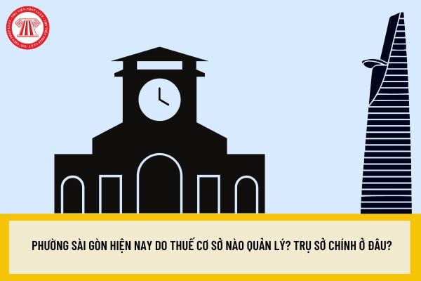 Pháp luật
