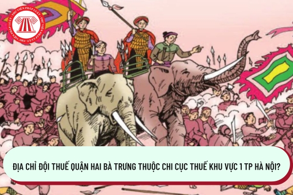 Pháp luật