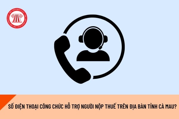 Pháp luật