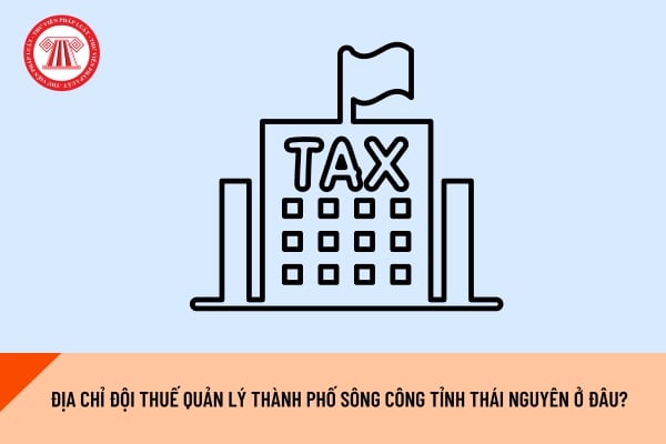 Pháp luật
