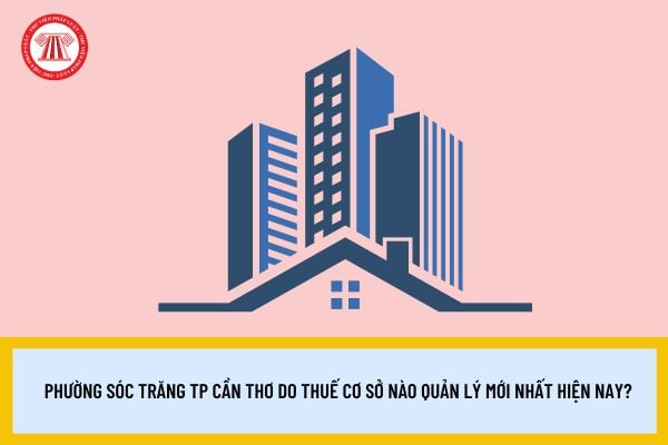 Pháp luật