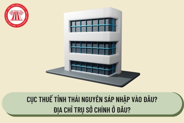 Pháp luật
