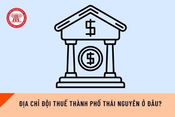 Pháp luật