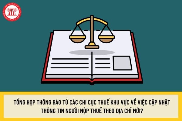 Pháp luật