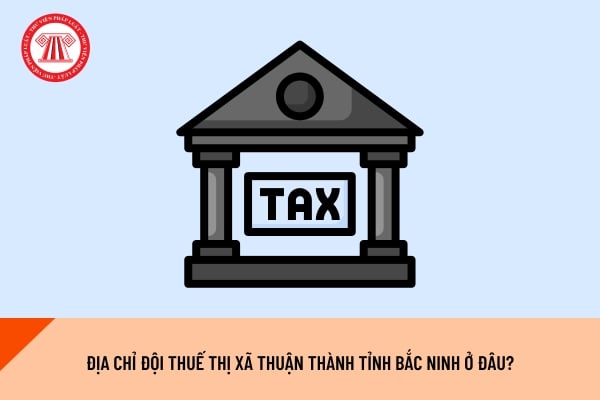 Pháp luật
