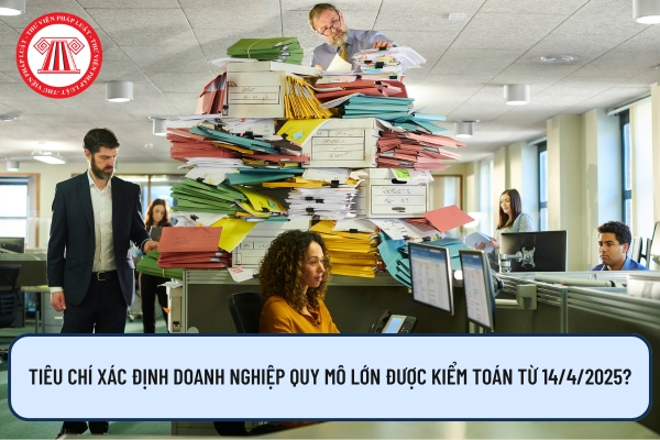 Tiêu chí xác định doanh nghiệp quy mô lớn được kiểm toán từ 14/4/2025?