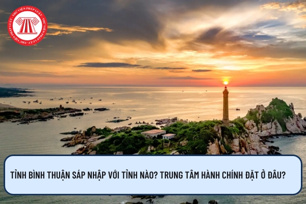 Pháp luật