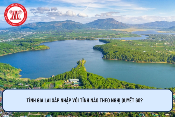 Tỉnh Gia Lai sáp nhập với tỉnh nào theo Nghị quyết 60?