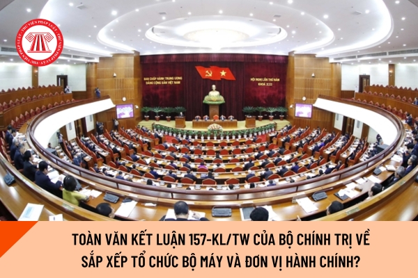 Pháp luật