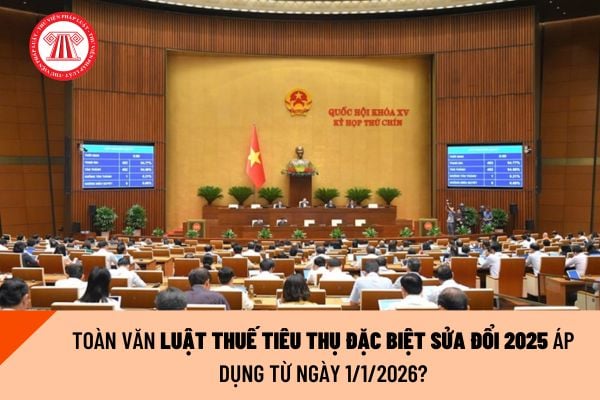 Pháp luật