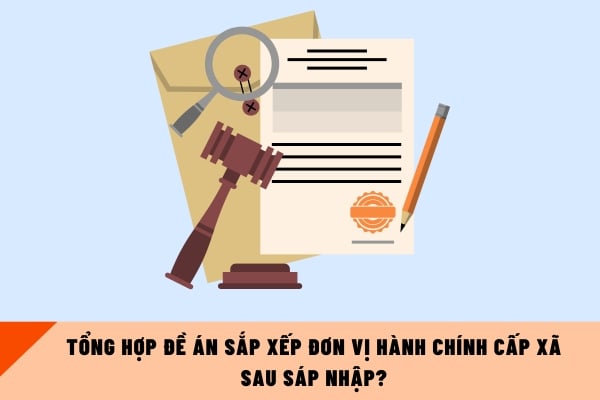 Pháp luật