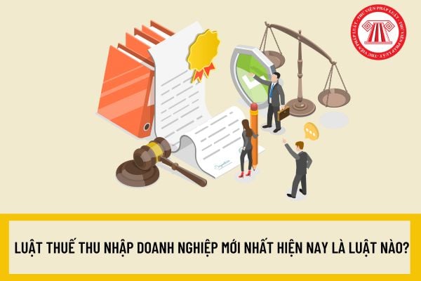 Pháp luật