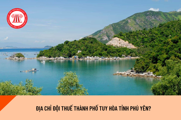 Pháp luật