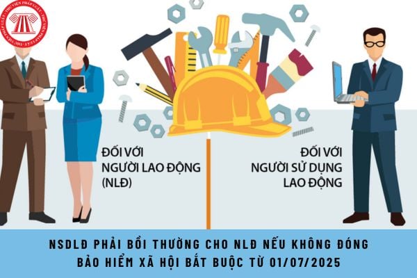 Pháp luật