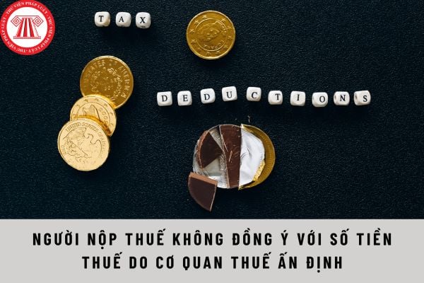 Pháp luật