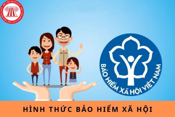 Pháp luật