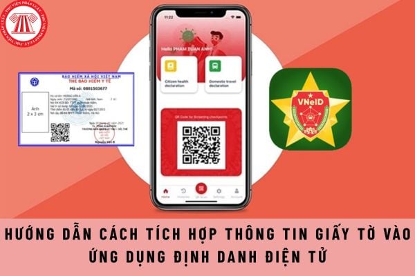 Pháp luật