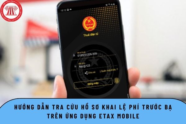 Pháp luật
