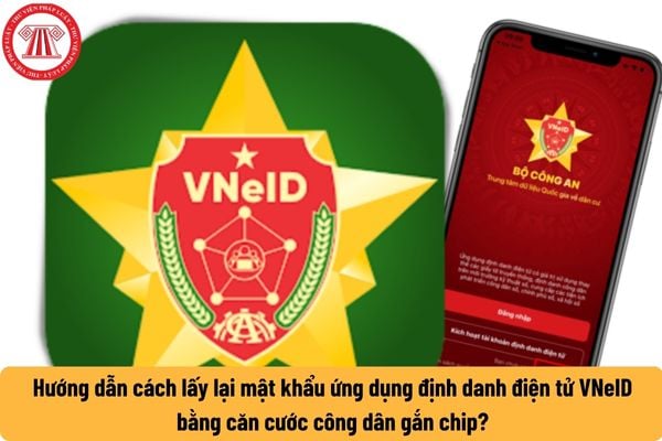 Pháp luật