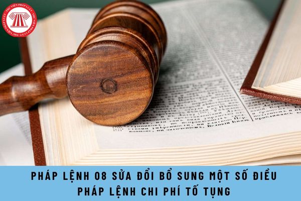 Pháp luật