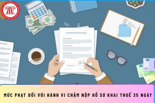 Pháp luật