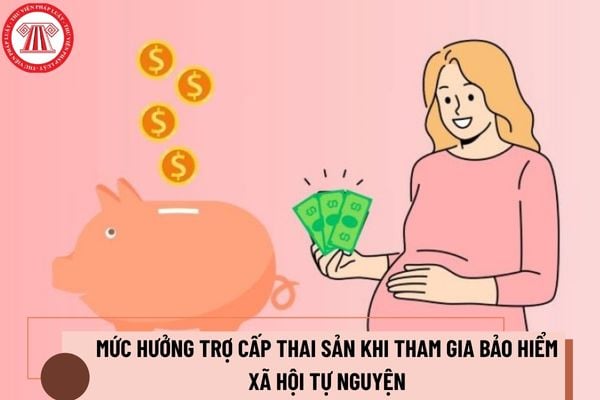 Pháp luật