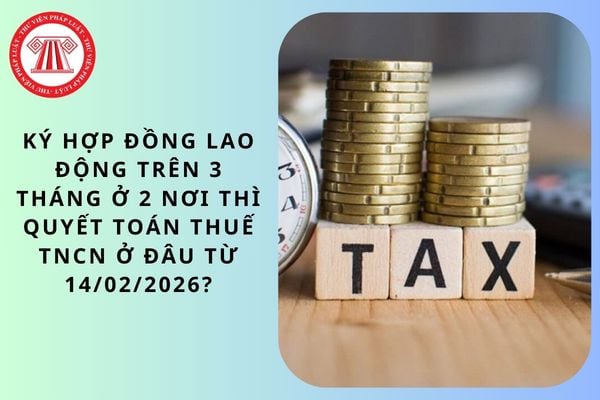 Pháp luật