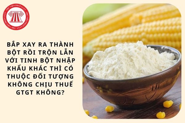 Bắp xay ra thành bột rồi trộn lẫn với tinh bột nhập khẩu khác thì có thuộc đối tượng không chịu thuế GTGT không?