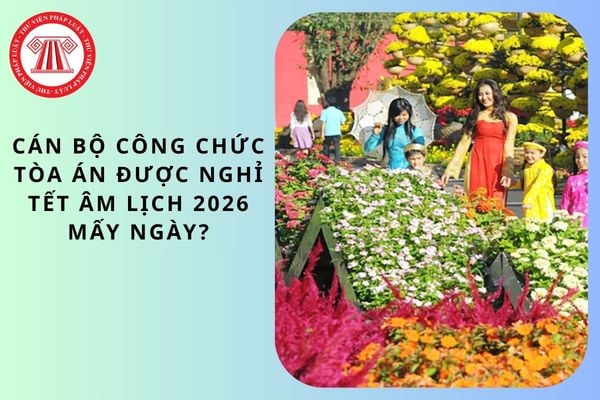 Pháp luật
