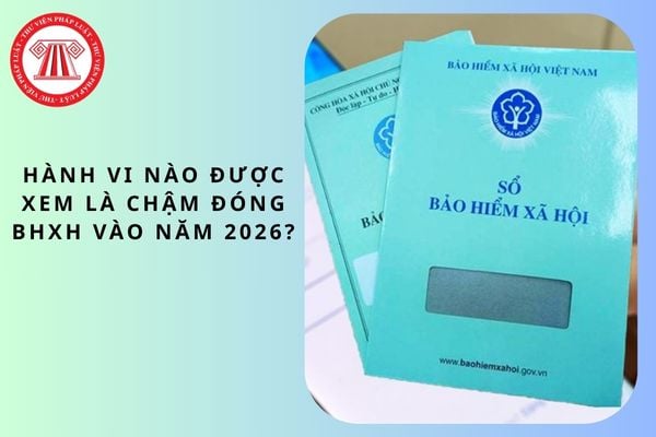 Pháp luật