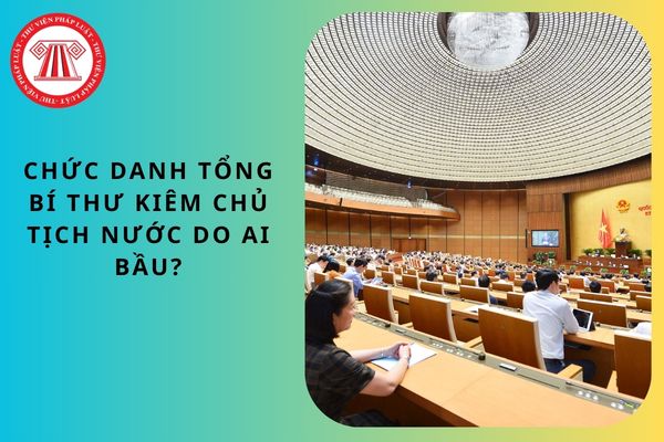 Pháp luật
