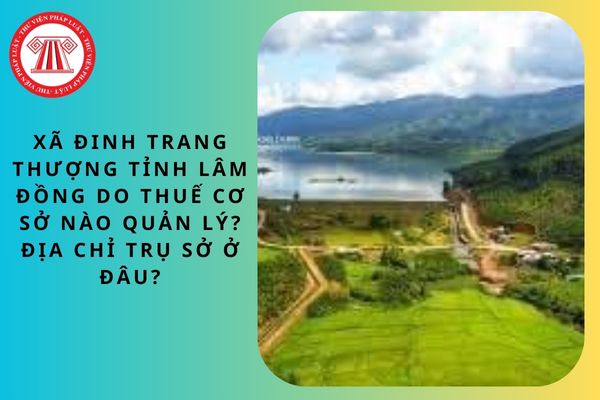 Pháp luật