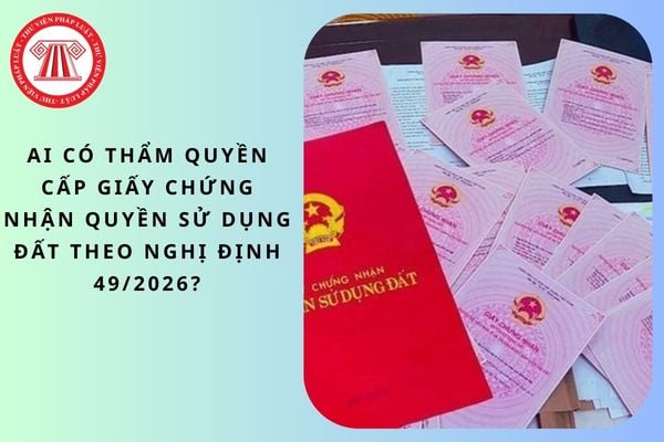 Pháp luật