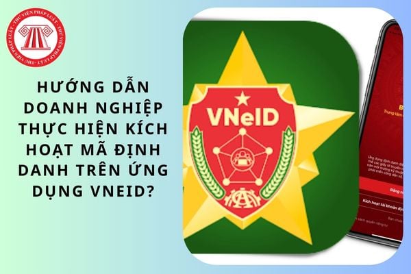 Pháp luật