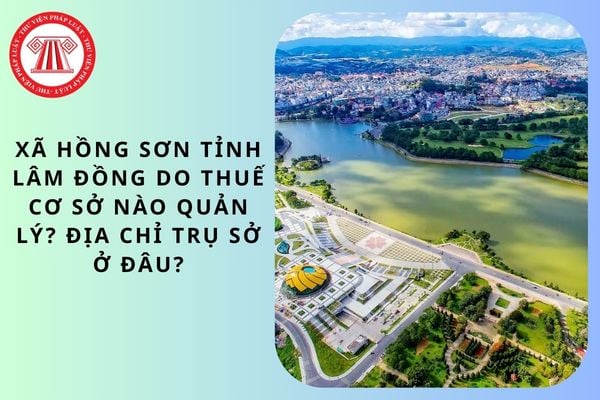 Pháp luật