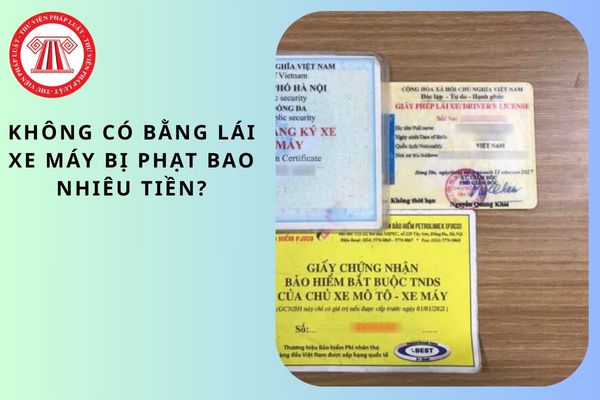 Pháp luật