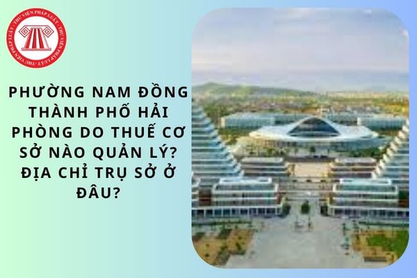 Pháp luật